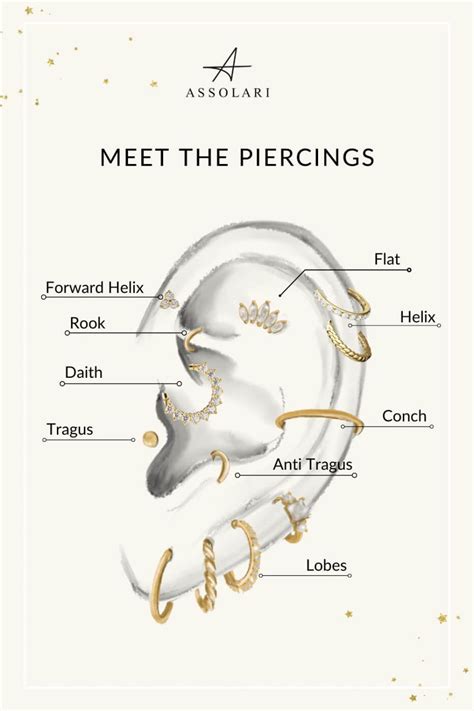 Cartilage Piercing Types Ear Piercings Chart, Ear Piercing Diagram ...