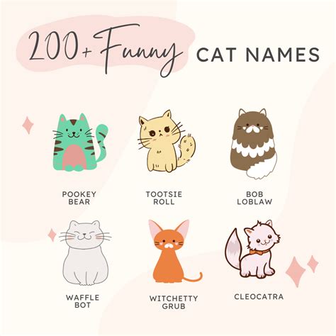 200+ Funny Names for Cats - HubPages