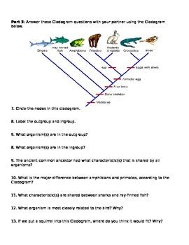 Cladograms Worksheet and Pr... by Brianna Jenkins | Teachers Pay Teachers