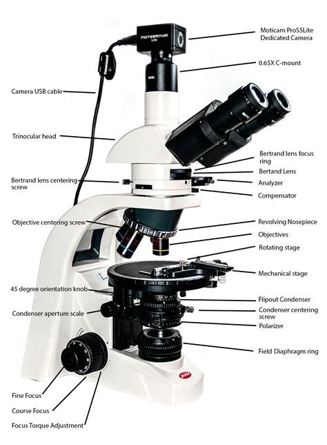 Polarization Microscopy The Motic BA310 Polarizing Microscope a Review ...