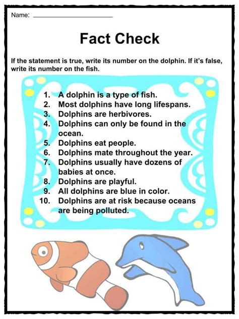 Dolphin Lessons, Dolphin Facts For Kids, Fun Facts About Dolphins ...