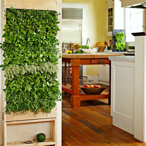 8 Simple Ways To Create An Indoor Vertical Garden In Your Home