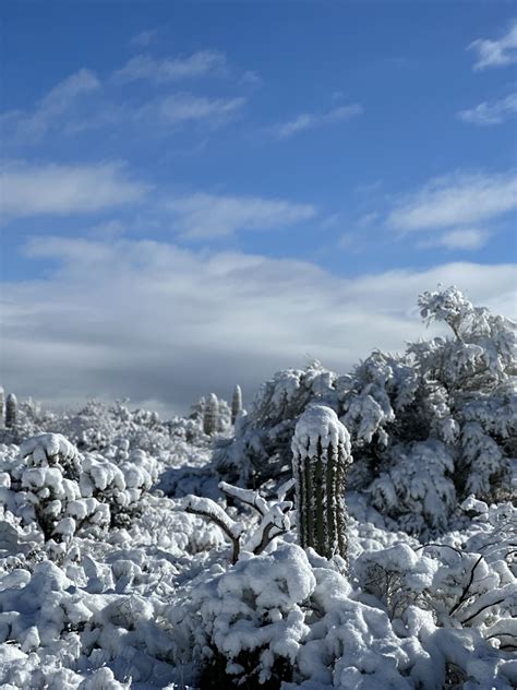 Weather - Saguaro National Park (U.S. National Park Service)