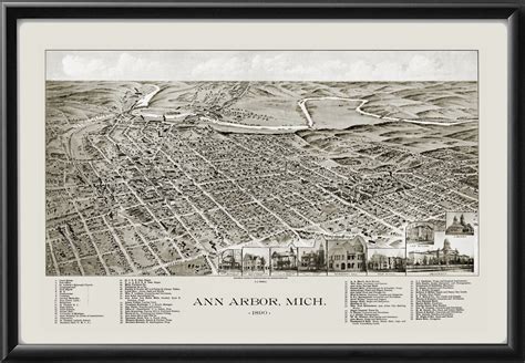 Ann Arbor MI 1890 Restored Map | Vintage City Maps