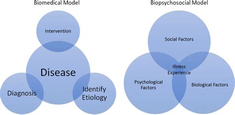 Depiction of the biomedical and biopsychosocial models of healthcare ...