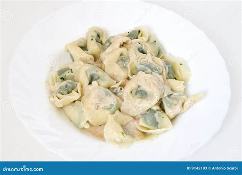 Pansotti with Walnut Sauce 2 Stock Image - Image of italian, baked: 9142183