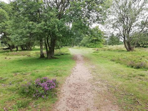 Whitchurch to Wem along The Shropshire Way • Hiking Route ...