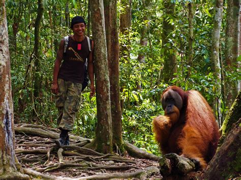 Your Jungle Guide in Bukit Lawang & North Sumatra Come with us!