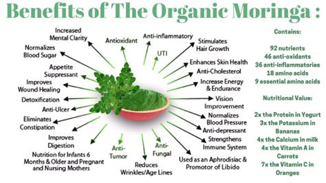 13 Science-backed Health Benefits And Uses Of Moringa, 55% OFF