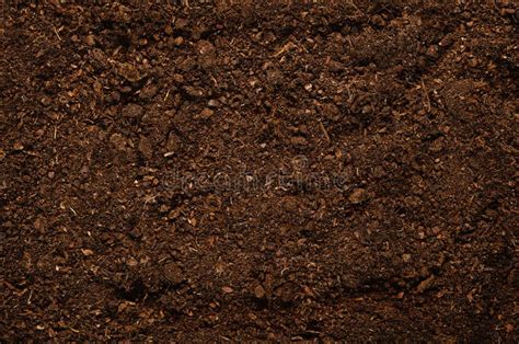 Fertile Garden Soil Texture Background Top View Stock Photo - Image of ...