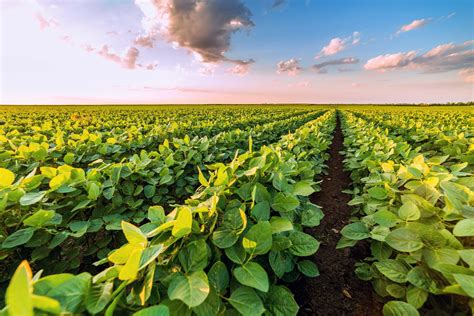 Developing climate-smart agricultural practices - Earth.com