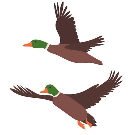 Premium Vector | Flying ducks on white background isolated, vector