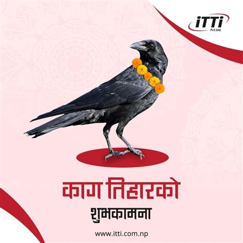 Happy Kaag Tihar : r/Nepal