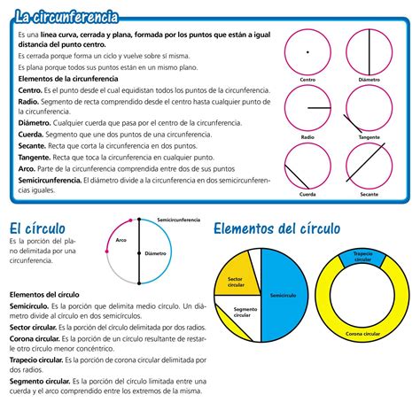 La circunferencia y el círculo - Escolar - ABC Color