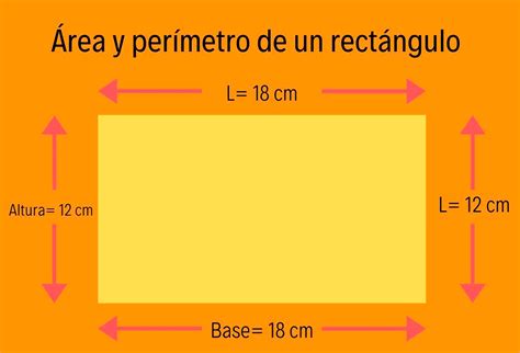 ¿Sabes calcular el área y el perímetro de un rectángulo? - Yo Soy Tu Profe