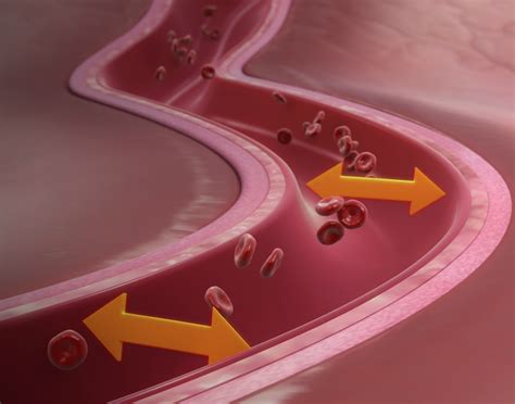 Hypertension - Scientific Animations