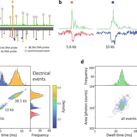 Length-encoded molecular probes consisting of DNA carriers and ...