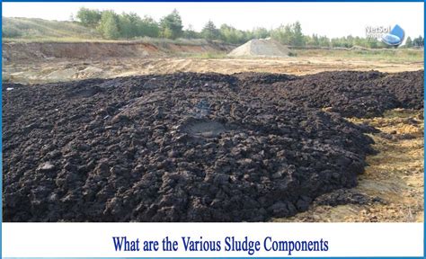 What are the various Sludge components - Netsol Water