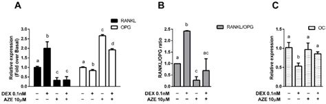 Antihistamines Potentiate Dexamethasone Anti-Inflammatory Effects ...