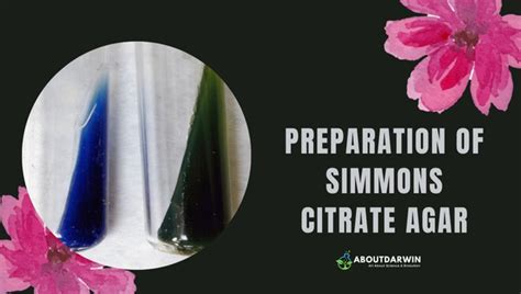 Simmons Citrate Agar: A Deep-Dive into Composition & Uses