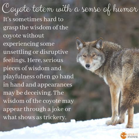 Coyote spirit animal – Artofit