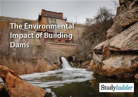 The Environmental Impact Of Building Dams (5_slides) - Studyladder ...