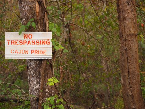 I Heart My Pen: Photography (and other animals): Haunted Swamp, Louisiana