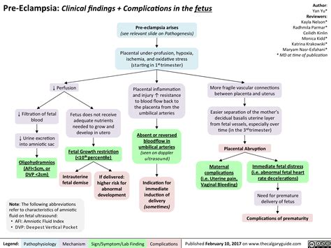 Pre-Eclampsia: Clinical findings + Complications in the fetus | Calgary ...