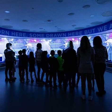 Manchester City Stadium Tour - ManchesterTheatres.com