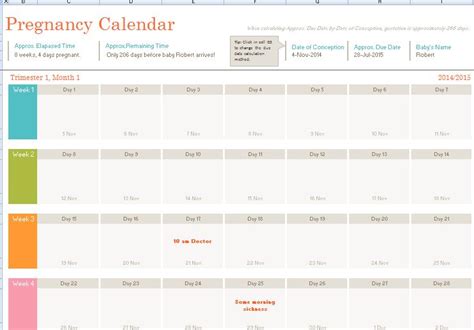 Pregnancy Calendar Template | Formal Word Templates