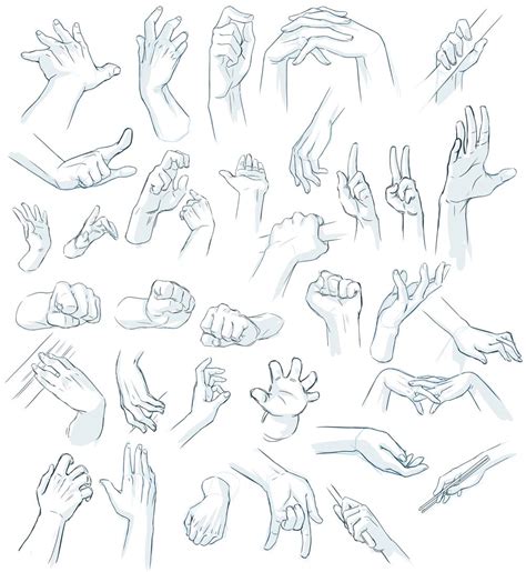 Hand Reference Drawing