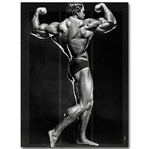 Arnold Schwarzenegger Bodybuilding Wallpapers Posters And Pictures ...