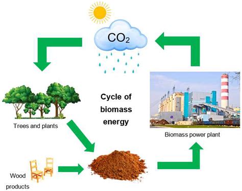 Biomass Fuel Examples