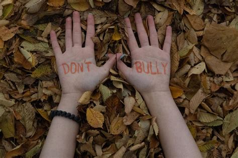 A Deeper Look into Bullying Awareness Month – Sequoit Media