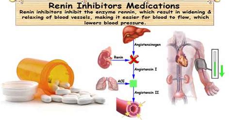 Renin Inhibitors Medications for Hypertension