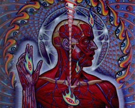 Appetite For Distraction: One Year, 100 Albums: #99 Tool - Lateralus