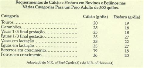 How should I treat my horse with cattle?