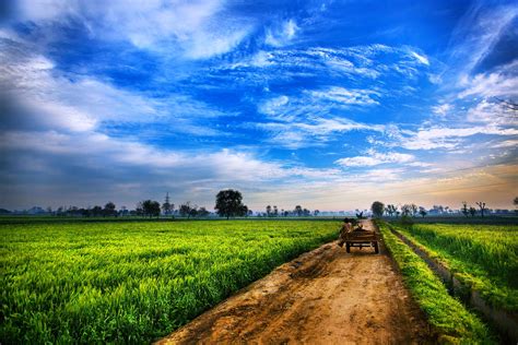 Agriculture Scenery Images