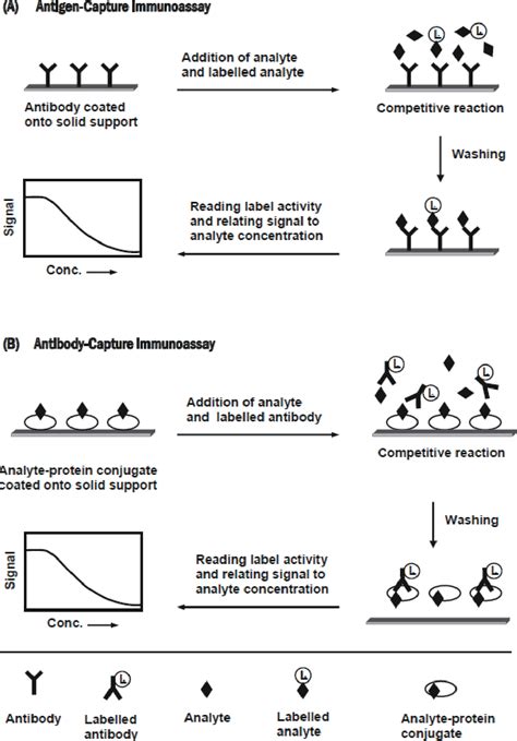 Figure 6 from Immunoassay Methods and their Applications in ...