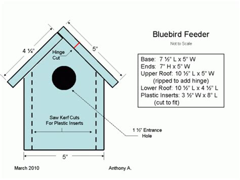 How to Attract Eastern Bluebirds With the Right Foods, Plants and Nest ...