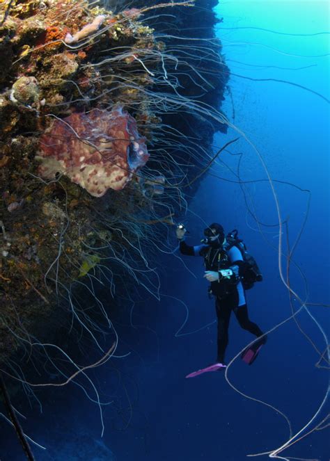 Andros Scuba