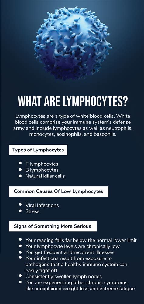 When to Worry About Low Lymphocytes - Fatty Liver Disease