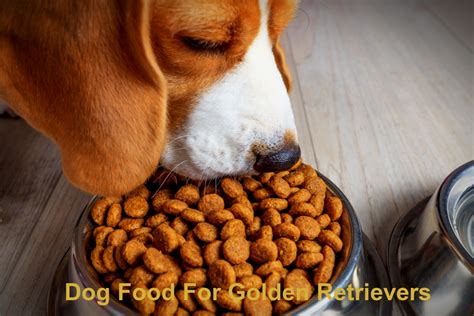 Best Dog Food For Golden Retrievers: The Ultimate Guide