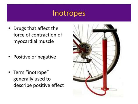 PPT - Inotropes & Vasopressors PowerPoint Presentation - ID:436060