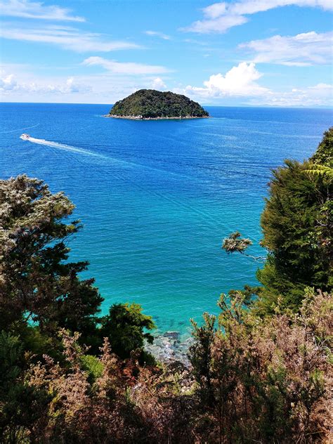 Abel Tasman National Park – The winding log