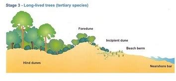 Interactions within the Biophysical Environment