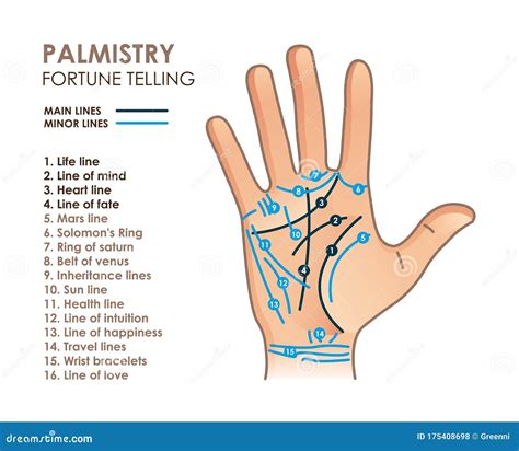 Divination By Lines On A Hand. Palm Reading Or Palmistry Vector ...