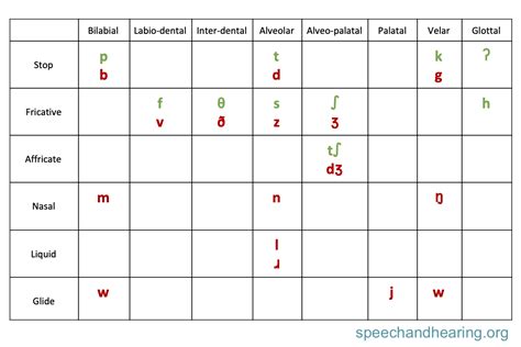 American English Ipa Consonant Chart - IMAGESEE