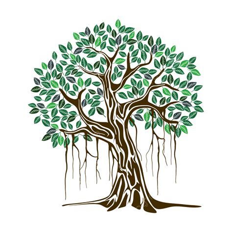 Banyan Tree Vector Hd PNG Images, Ancient Of Banyan Tree Illustrations ...