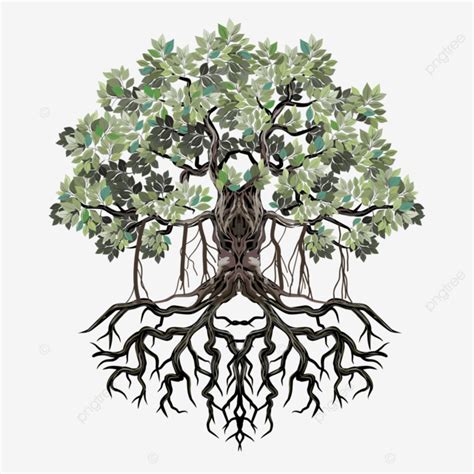 Ancient Banyan Tree, Banyan, Tree, Roots PNG and Vector with ...